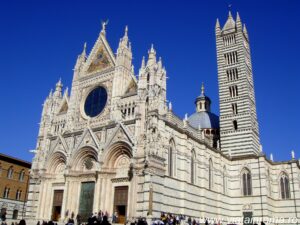 siena