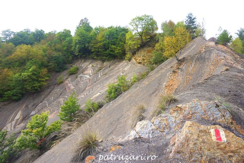 toamna vrancea