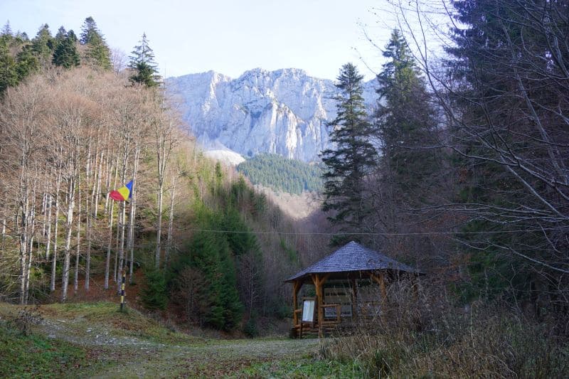 cerdacul stanciului