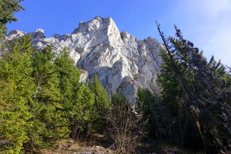 cerdacul stanciului