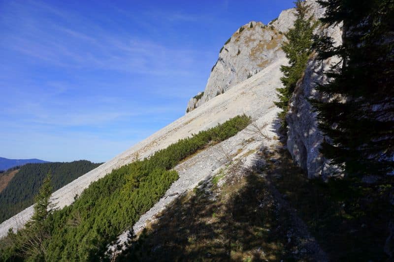 cerdacul stanciului