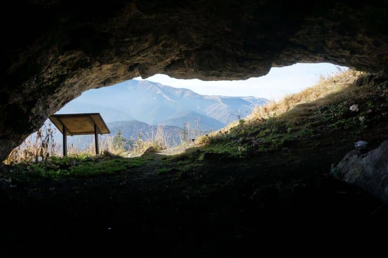 cerdacul stanciului
