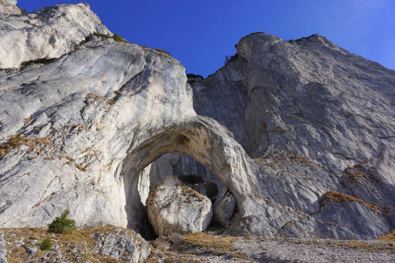 cerdacul stanciului