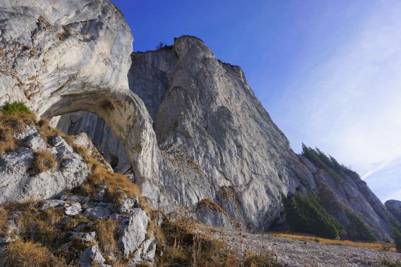 cerdacul stanciului