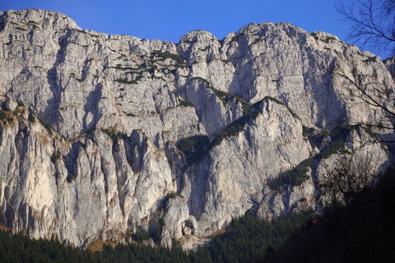 cerdacul stanciului