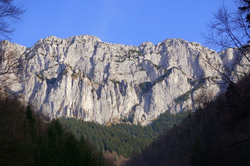cerdacul stanciului