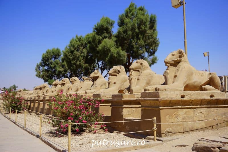 excursii optionale hurghada