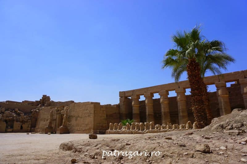 excursii optionale hurghada