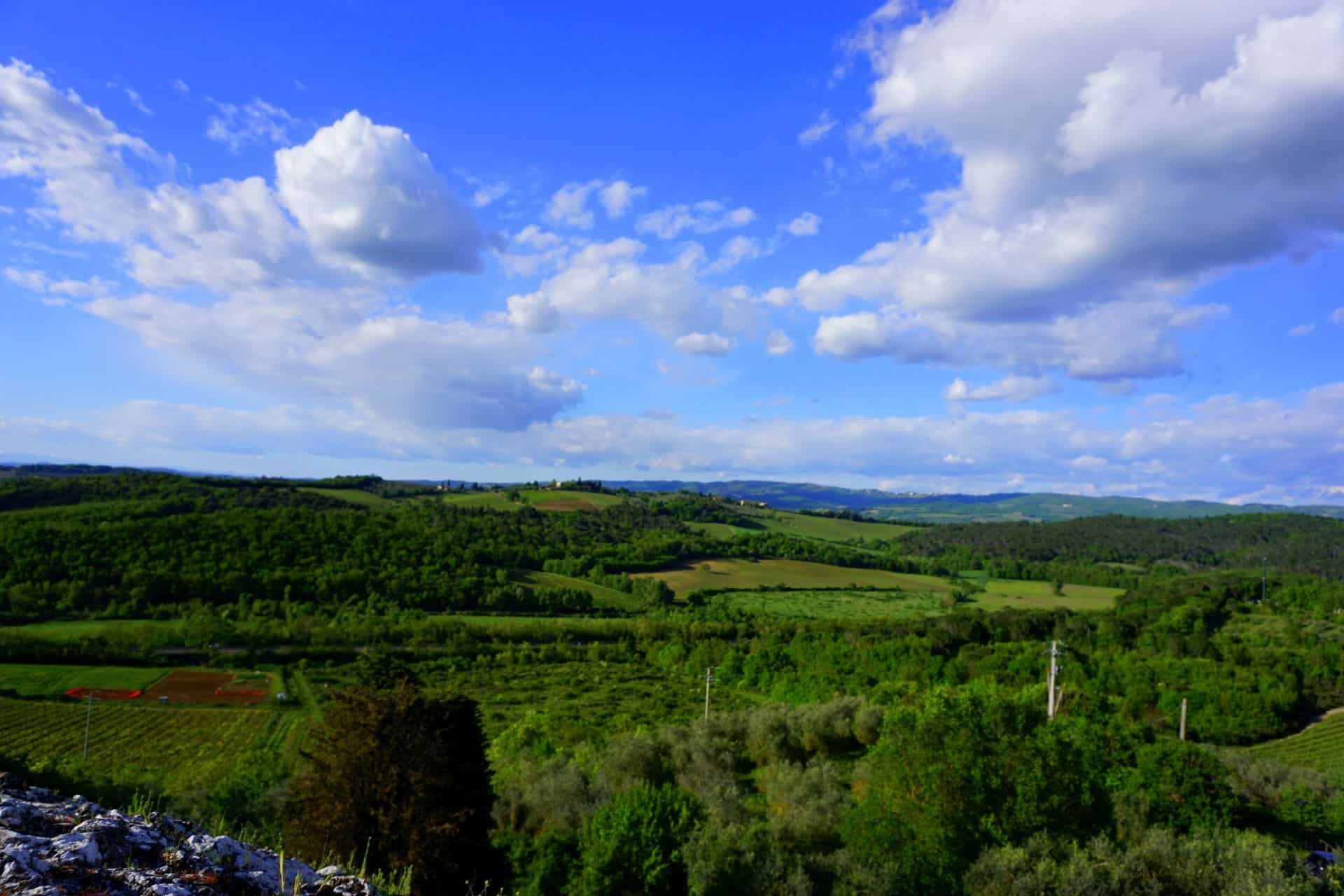 DSC09802