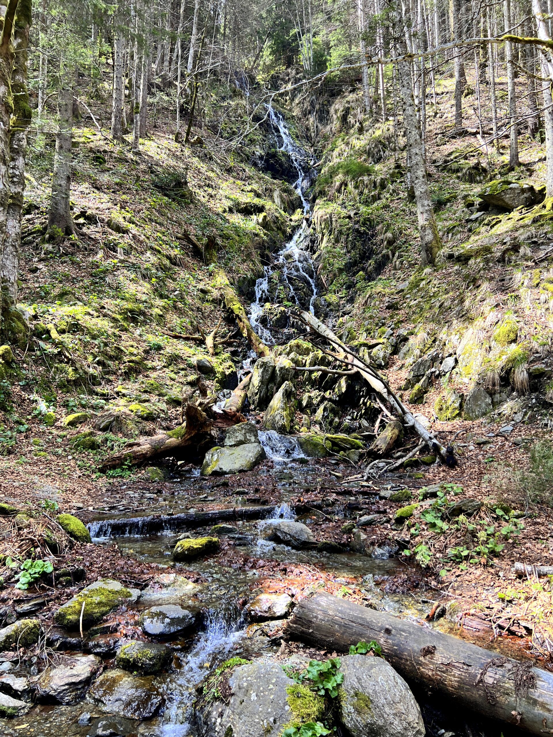 branduse valea sambetei