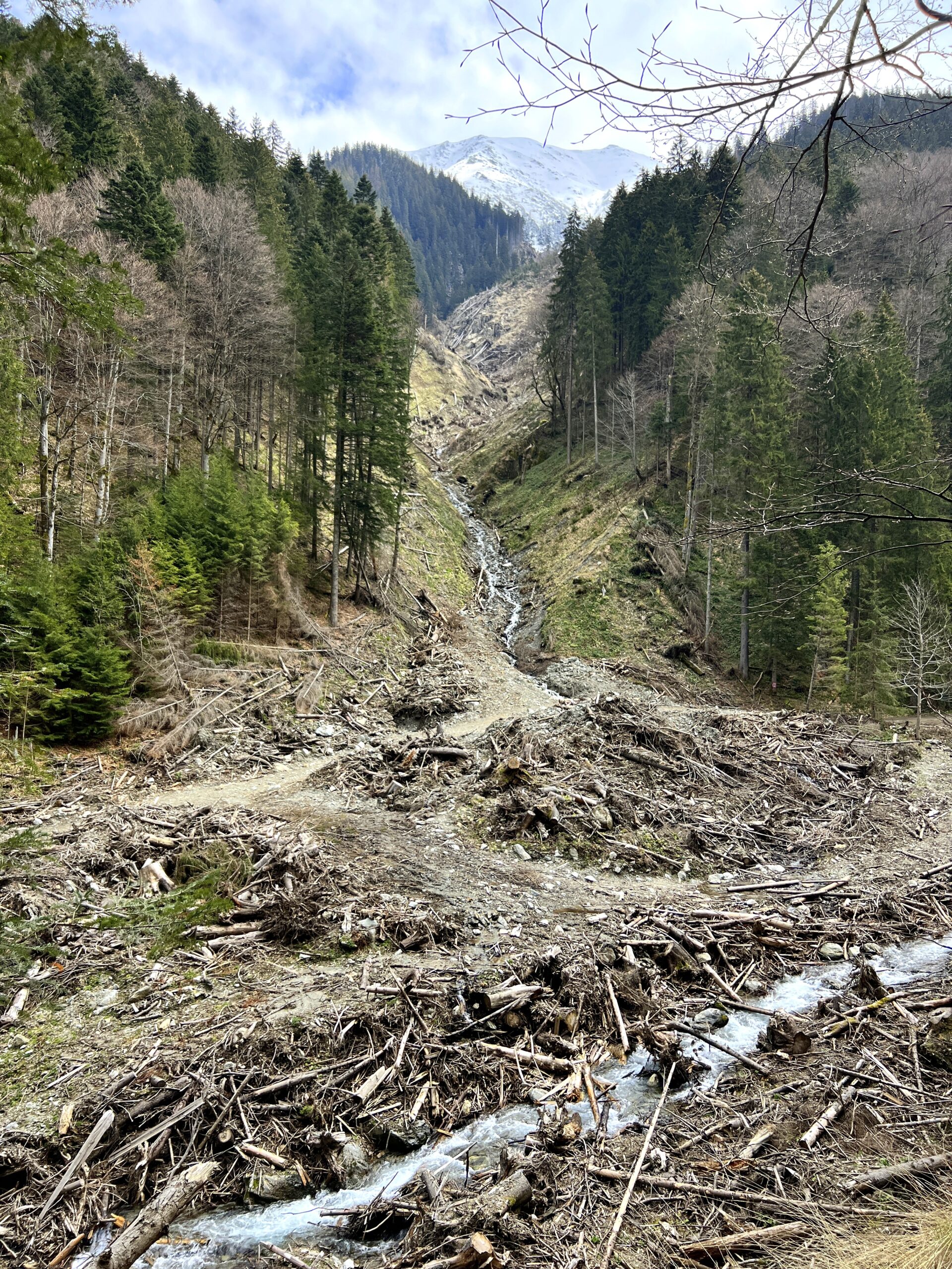 branduse valea sambetei