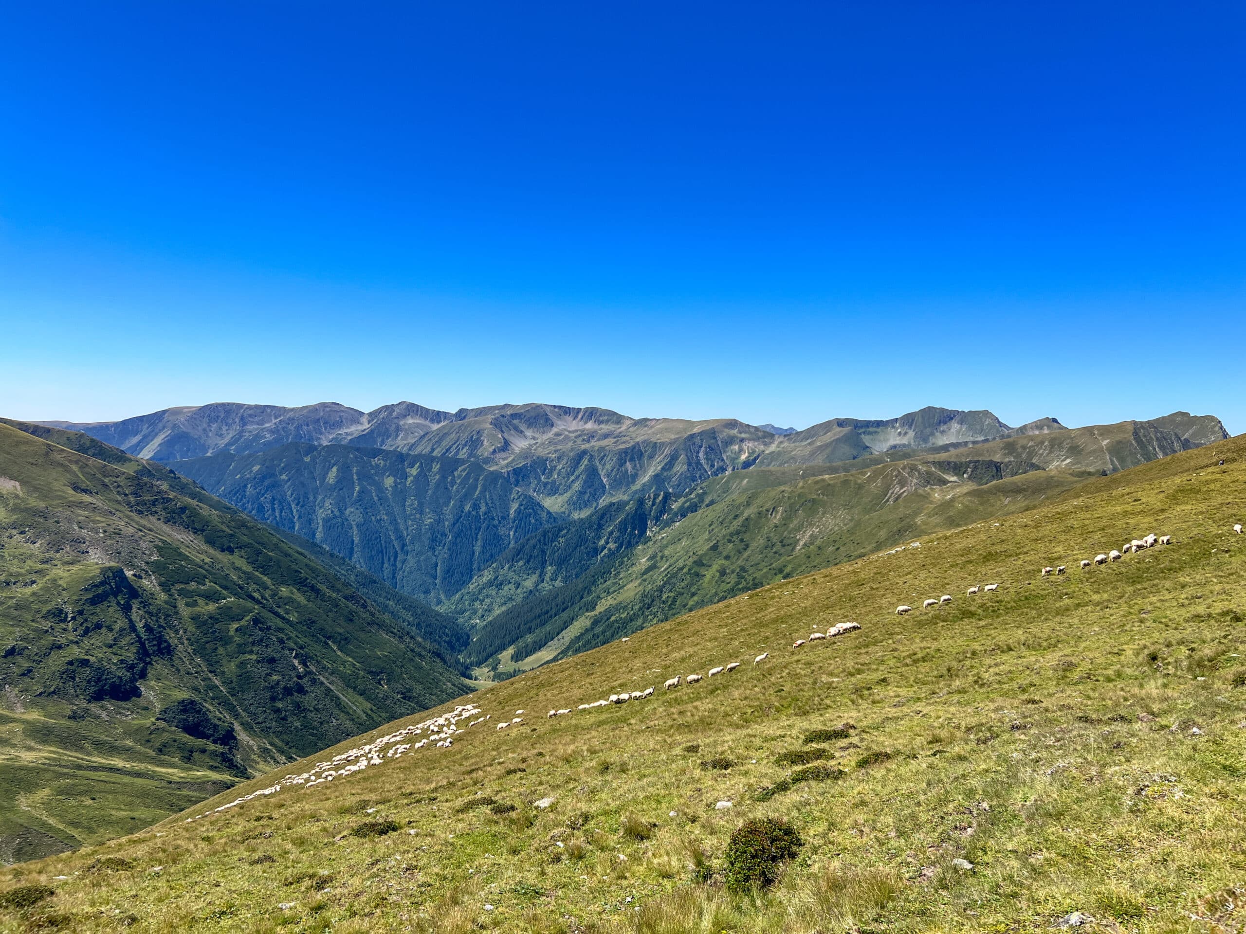 traseu varful dara si hartopul darei