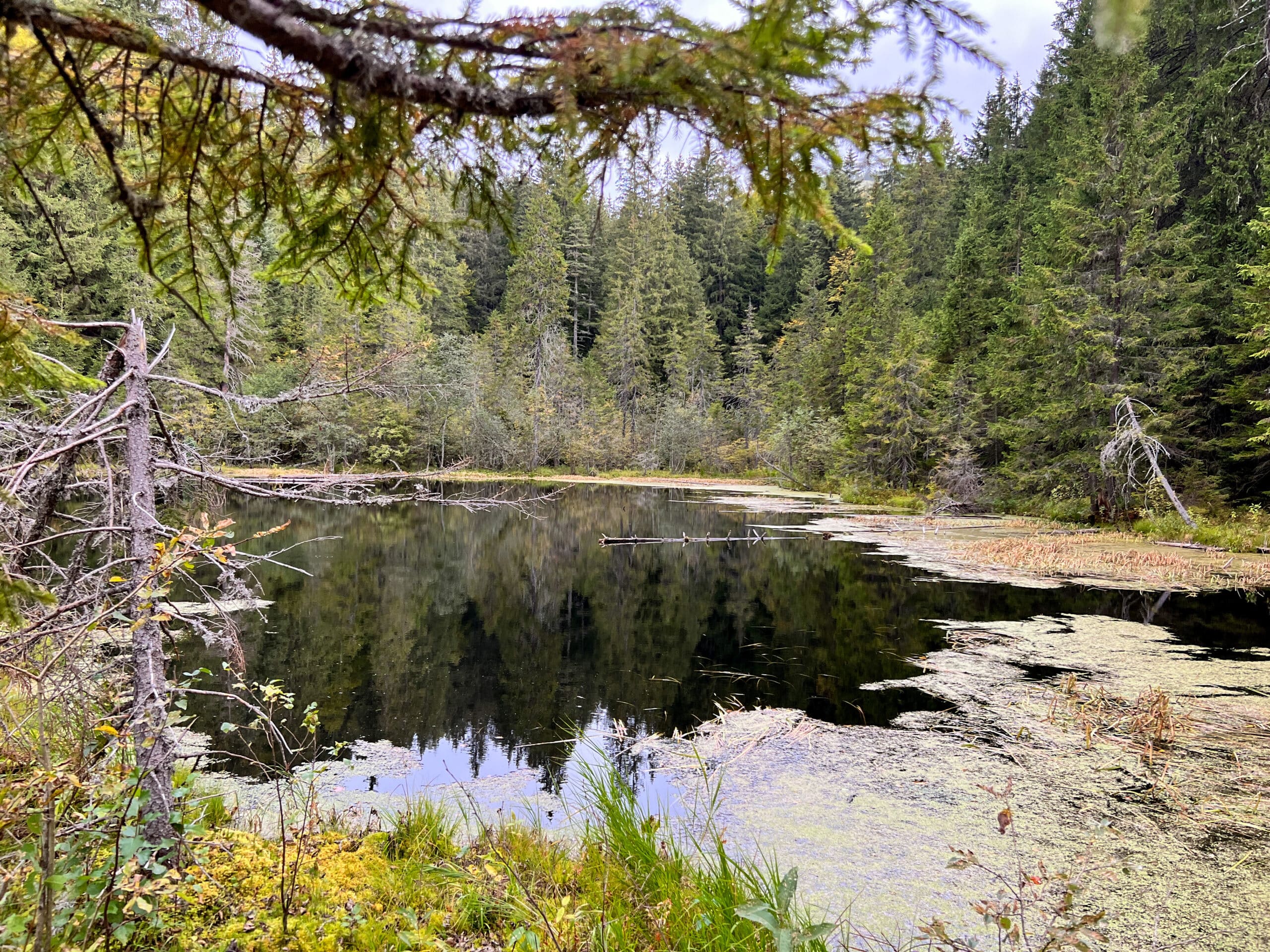 lacul negru vrancea