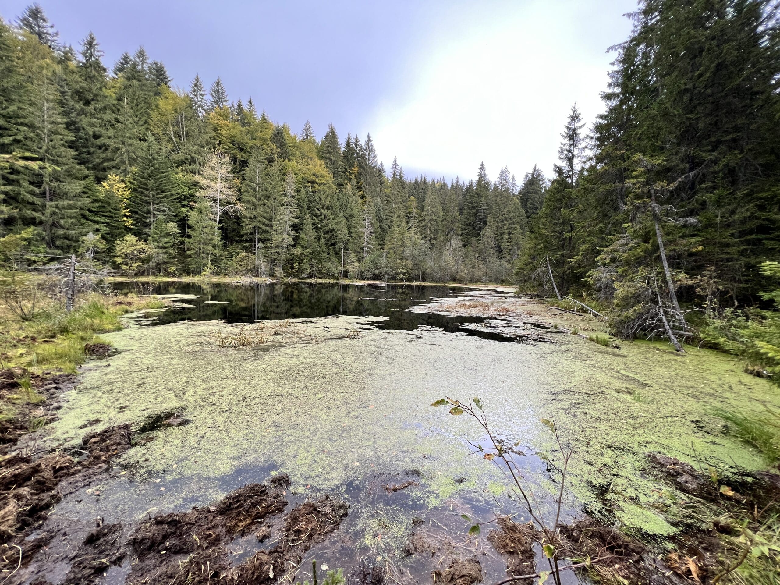 lacul negru vrancea