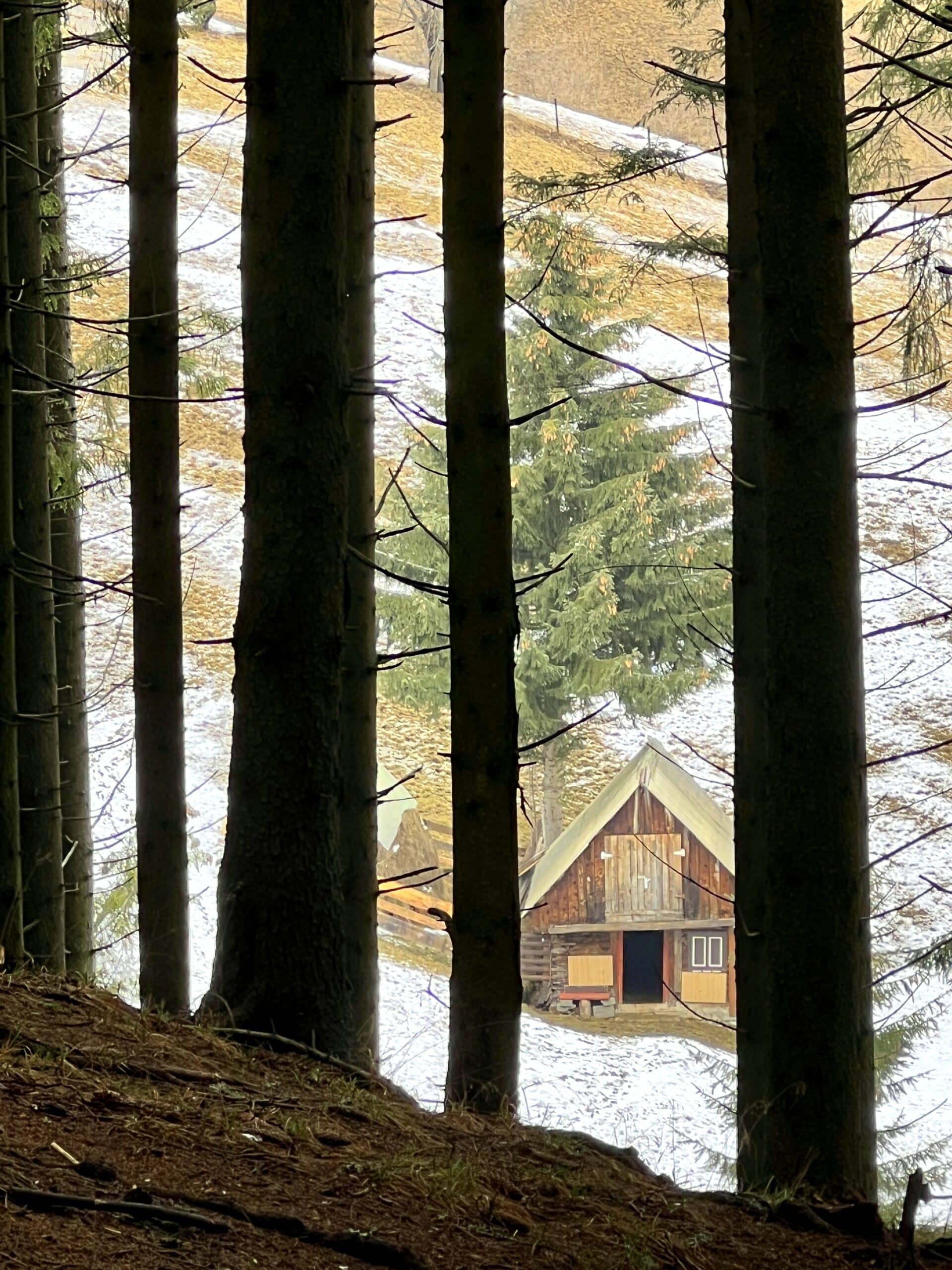 traseu vf. la bisericuta