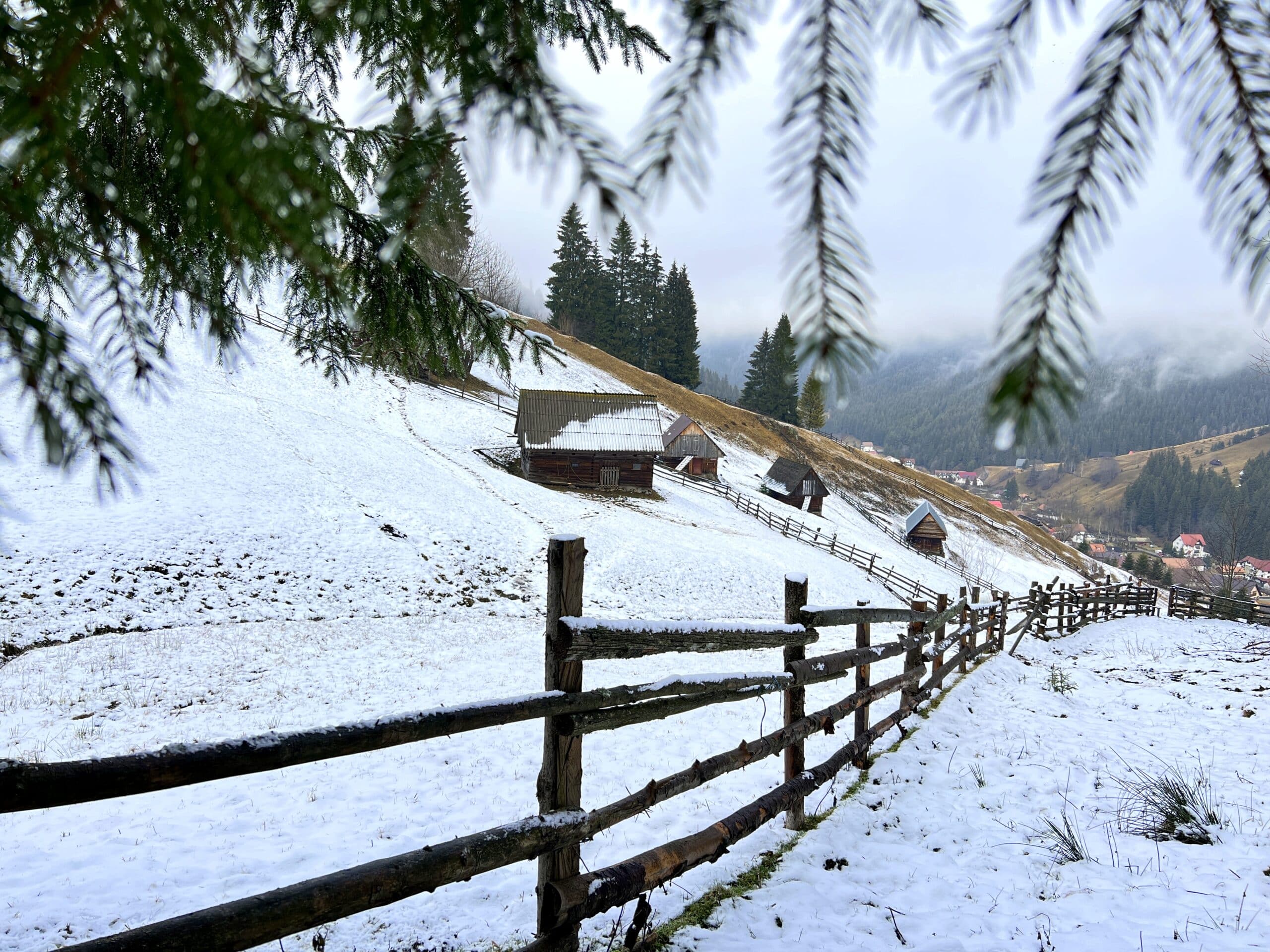 traseu vf. la bisericuta