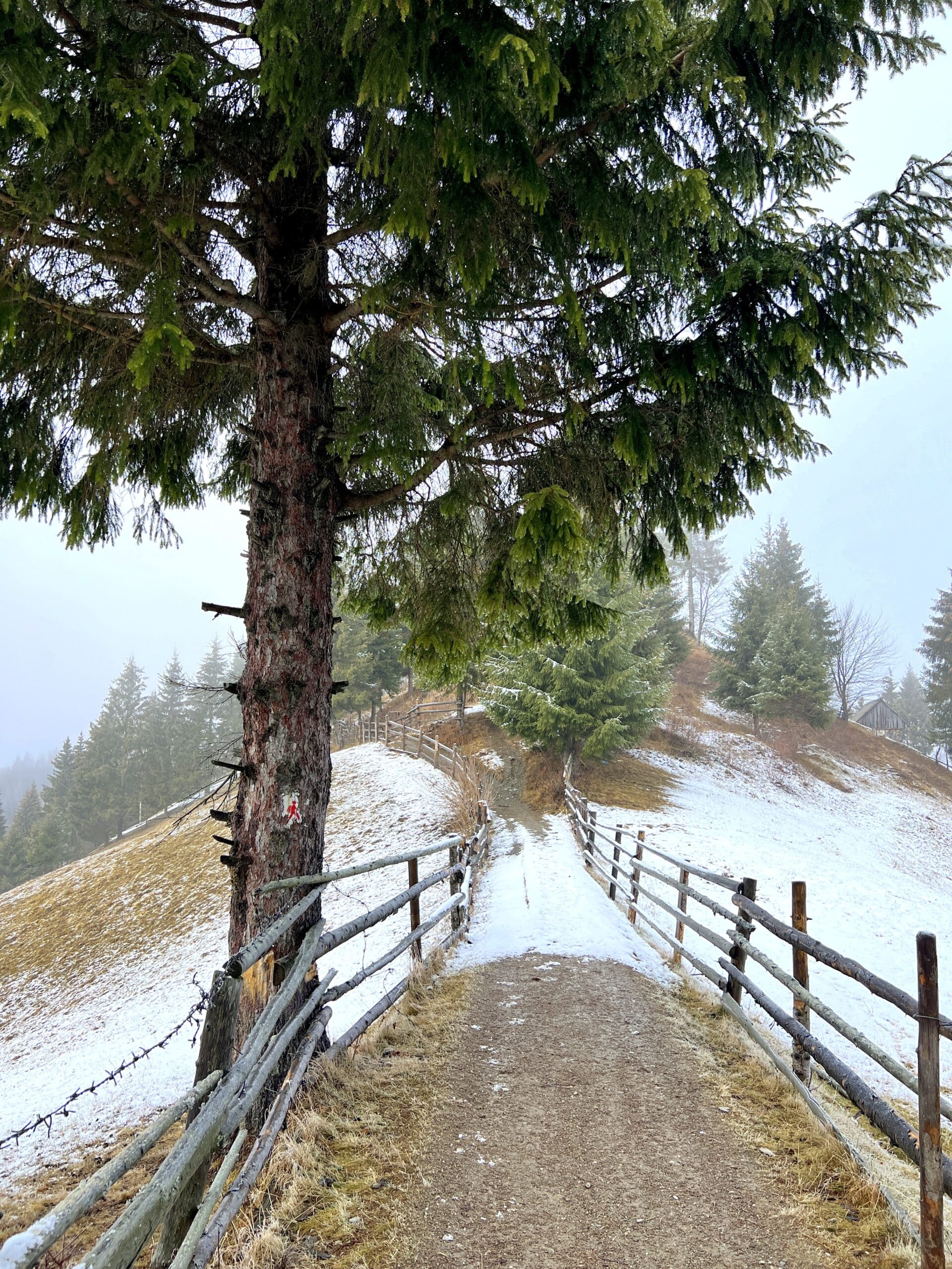 traseu vf. la bisericuta
