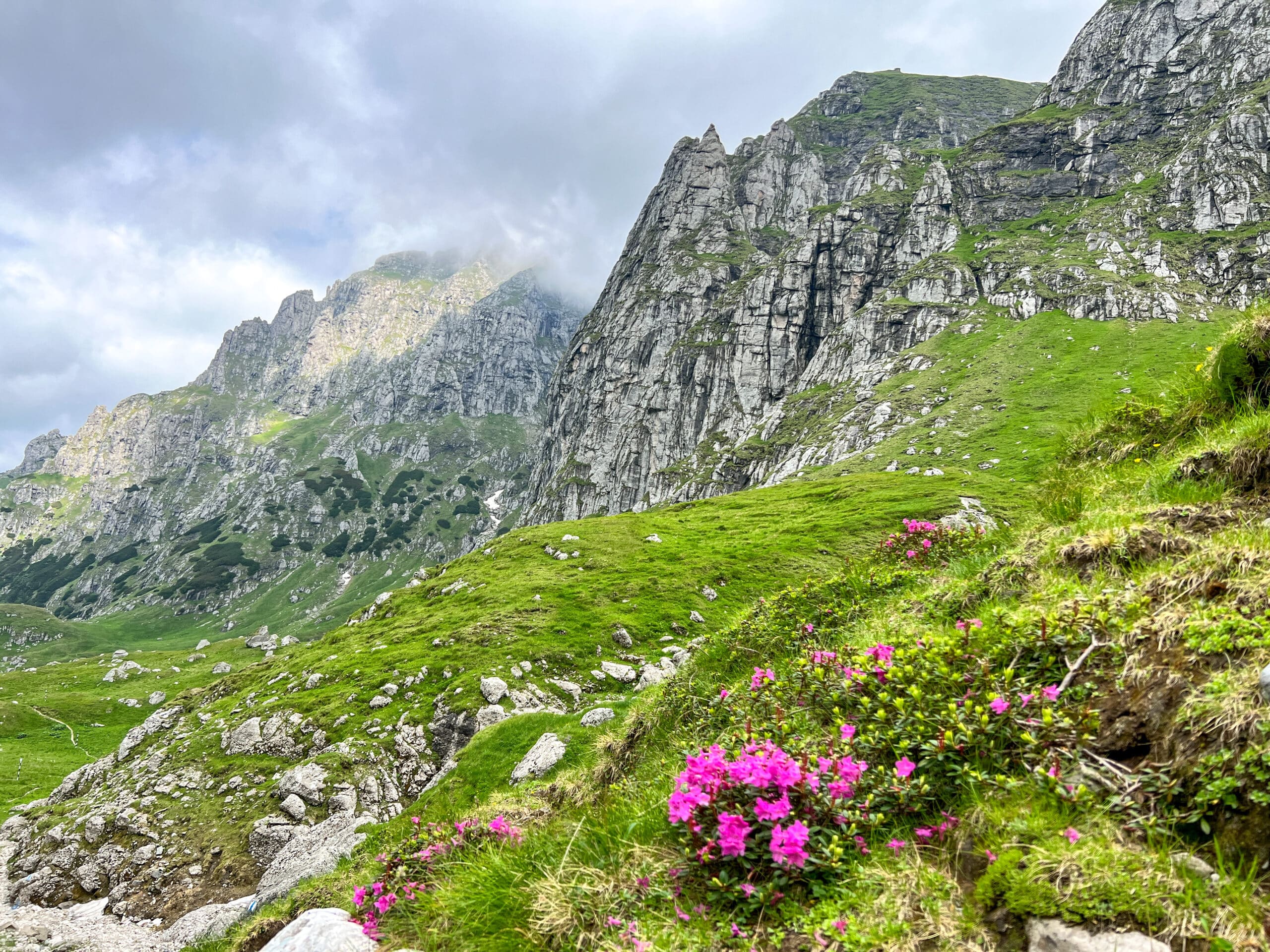 valea malaiesti