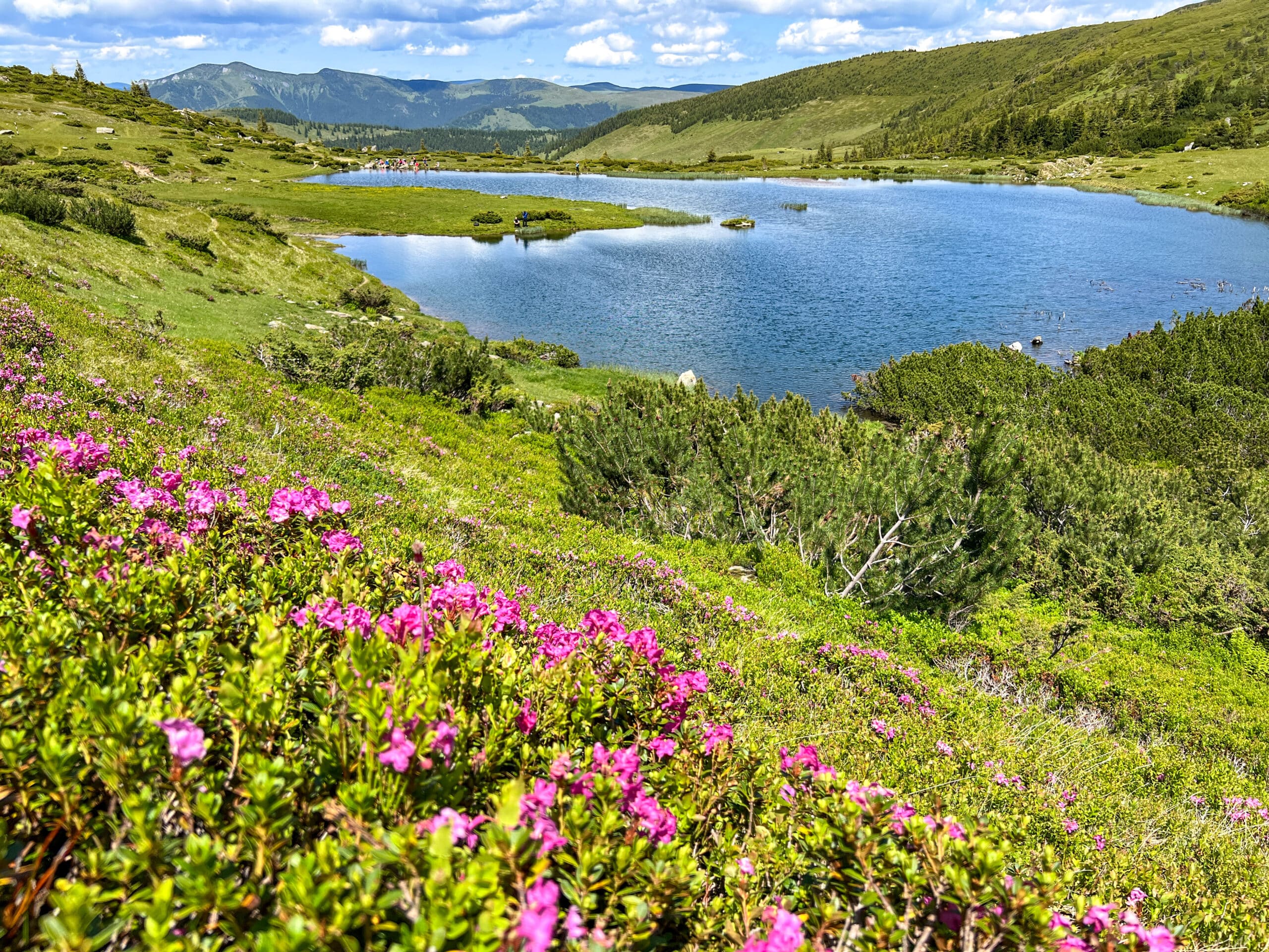lacul stiol