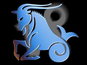 capricorn2