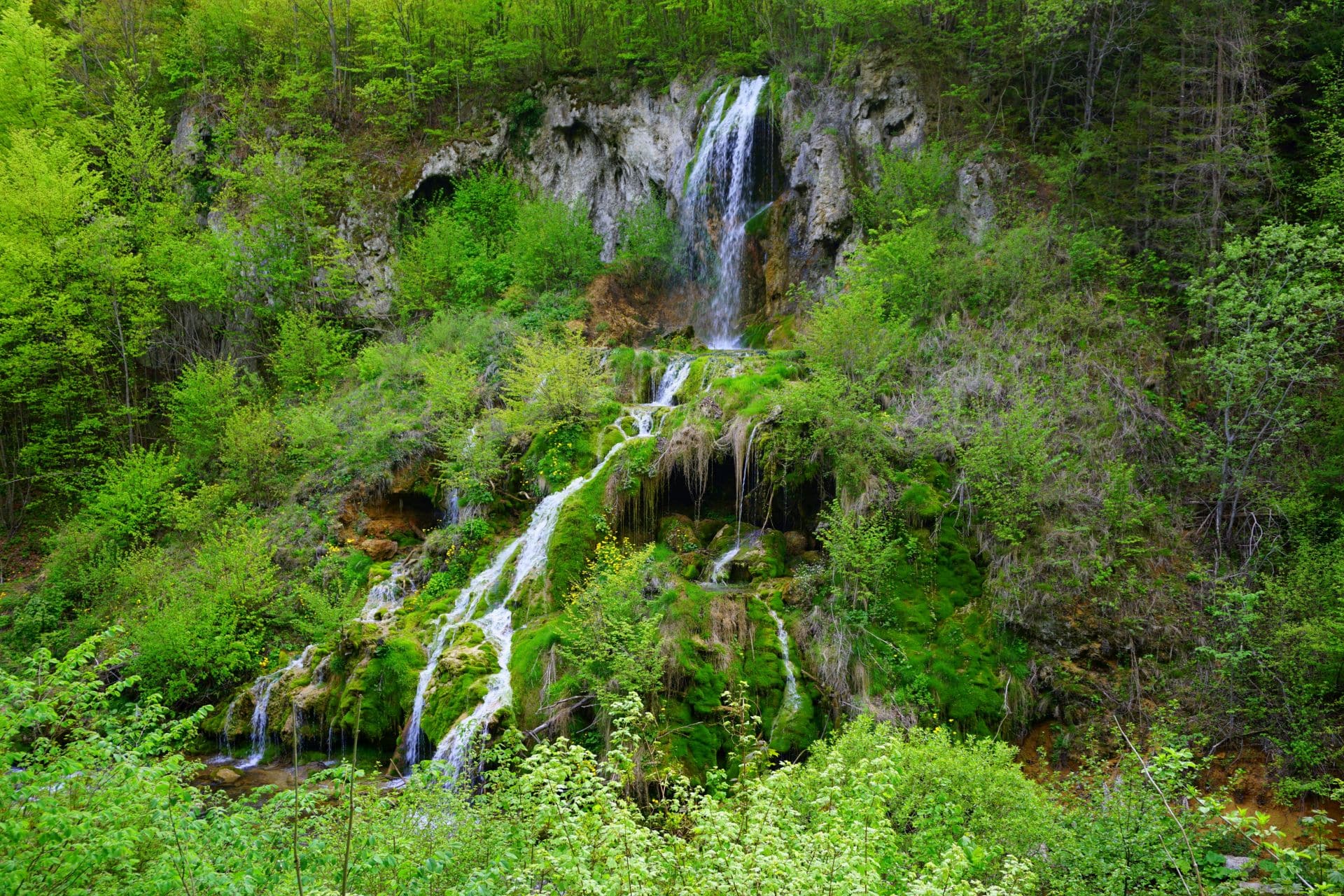 cheile nerei