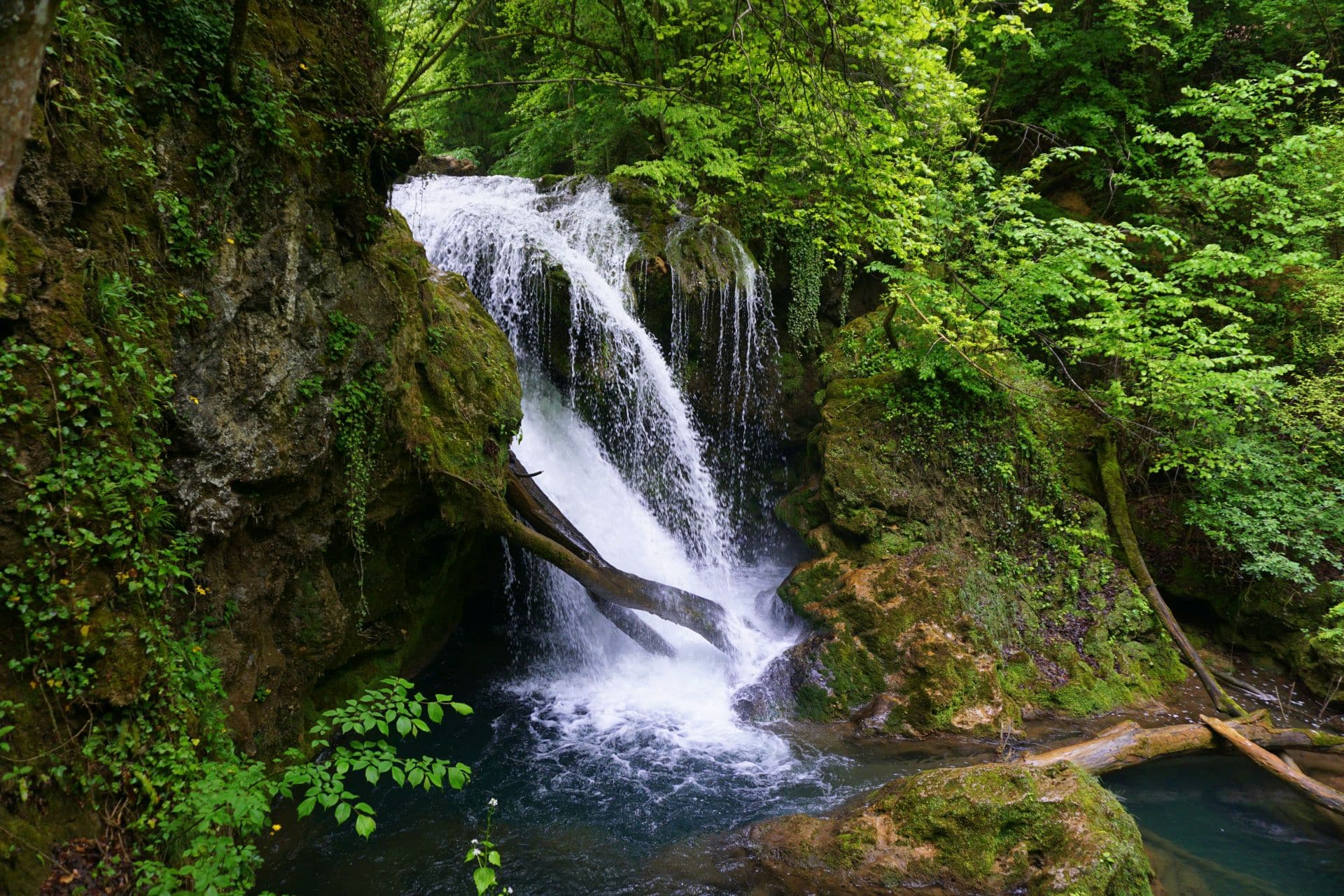 cheile nerei