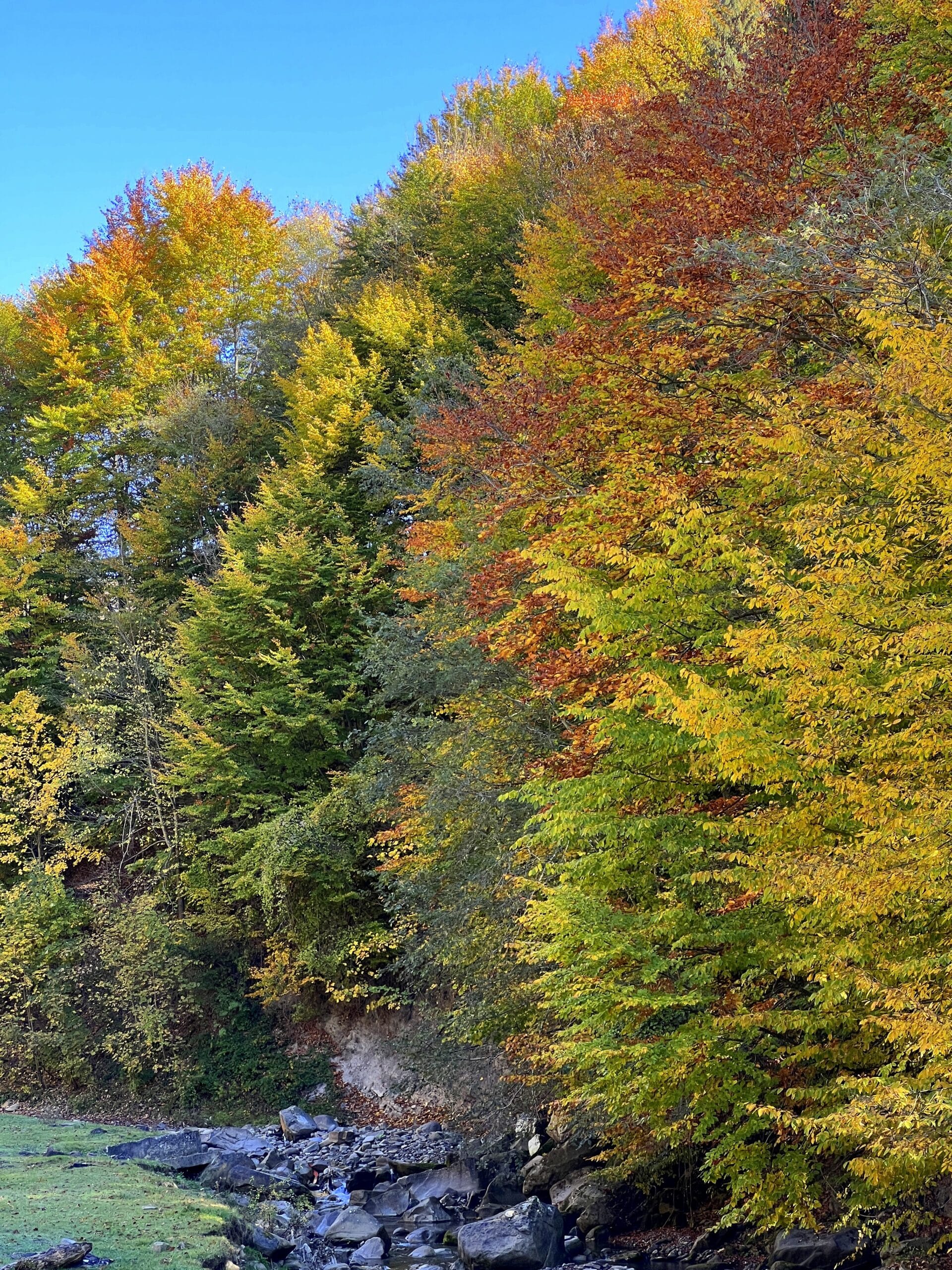 Toamna la cascada Cașoca și Vama Buzăului - Rezervația „Valea Zimbrilor” și cascada Urlătoarea - imagine 8