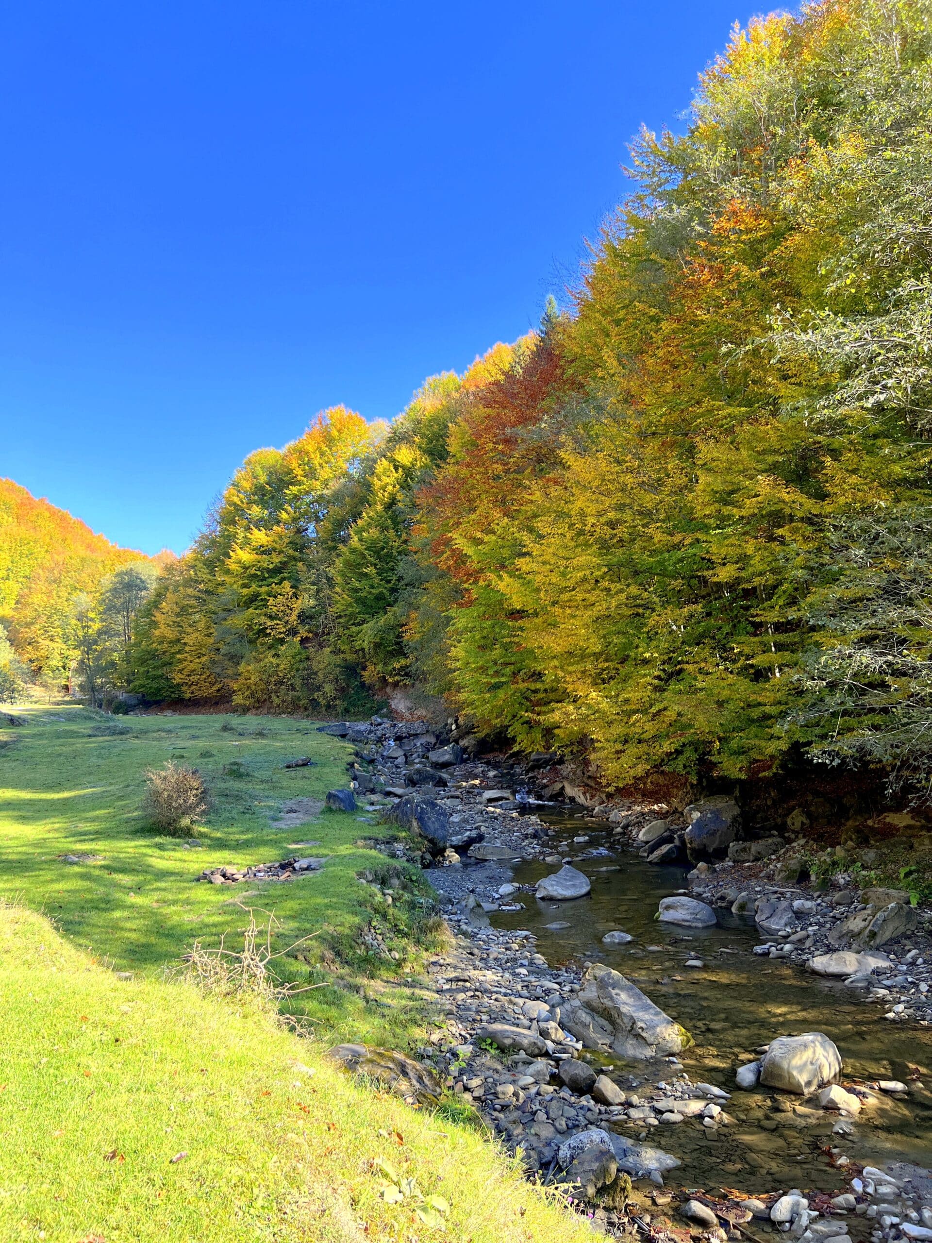 Toamna la cascada Cașoca și Vama Buzăului - Rezervația „Valea Zimbrilor” și cascada Urlătoarea - imagine 9