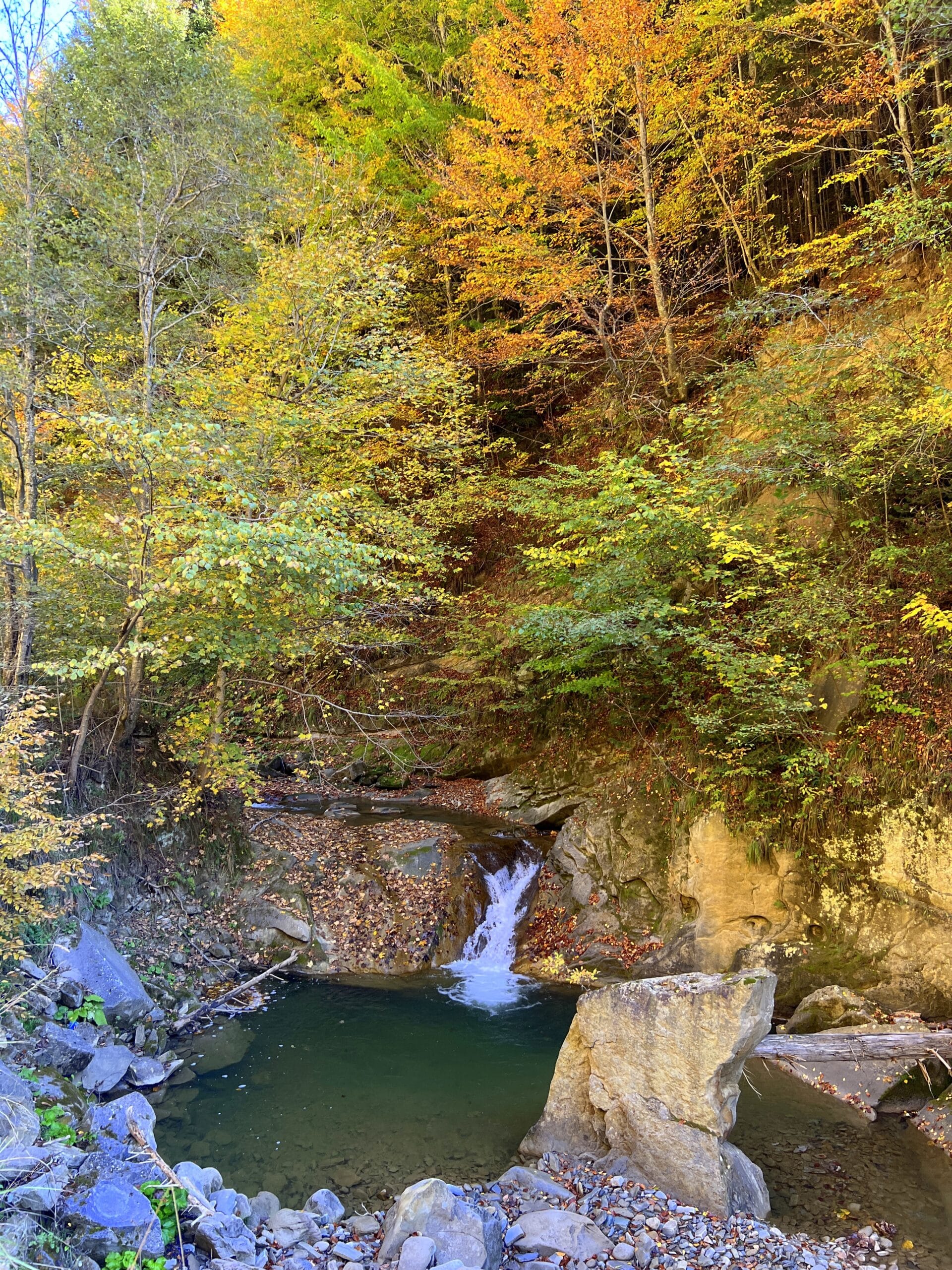 Toamna la cascada Cașoca și Vama Buzăului - Rezervația „Valea Zimbrilor” și cascada Urlătoarea - imagine 10
