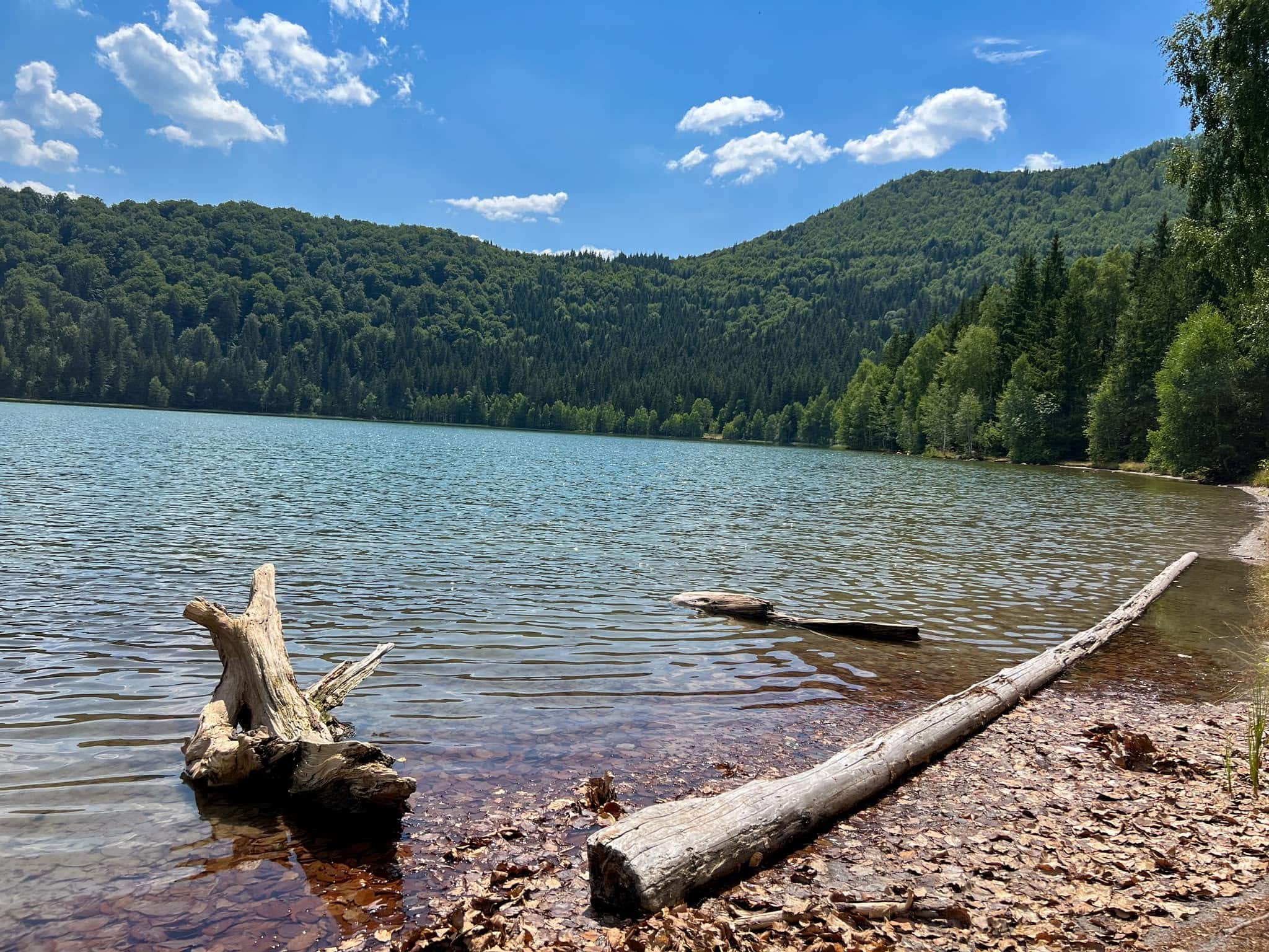 Excursie în Ținutul Vulcanilor: lacul Sfânta Ana, tinovul Mohoș, peștera Puturosu - imagine 6