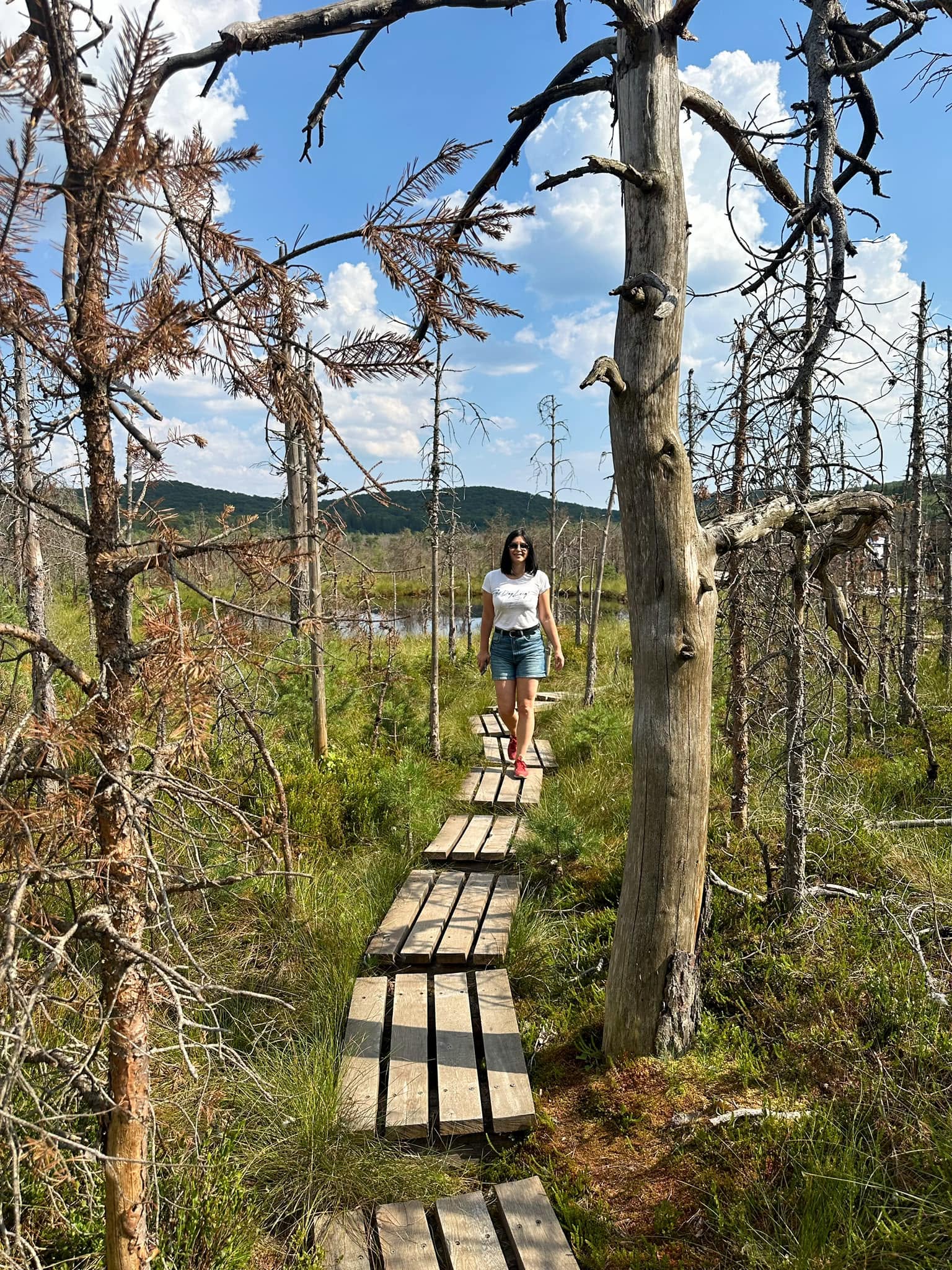 Excursie în Ținutul Vulcanilor: lacul Sfânta Ana, tinovul Mohoș, peștera Puturosu - imagine 13