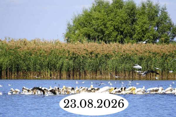 27.06.2026 (12)