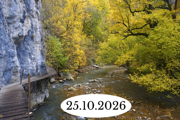 27.06.2026 (12)