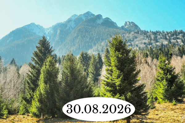 27.06.2026 (14)