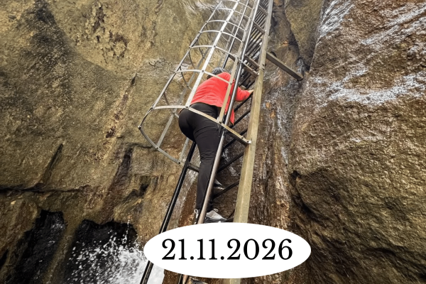 27.06.2026 (16)