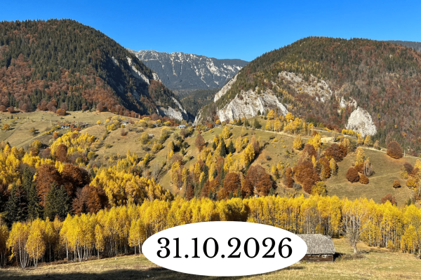 27.06.2026 (20)