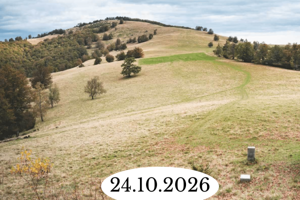 27.06.2026 (28)