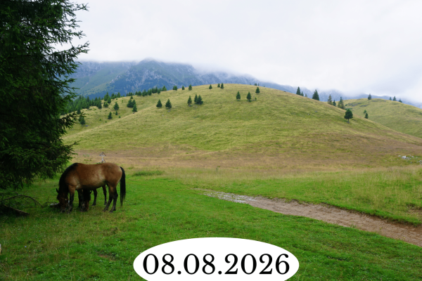 27.06.2026 (7)
