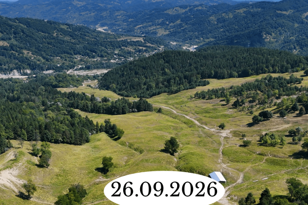 27.06.2026 (7)